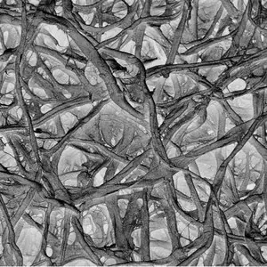 Merck Absorbent Pad
