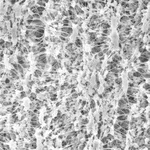 Merck LCR Membrane Filter