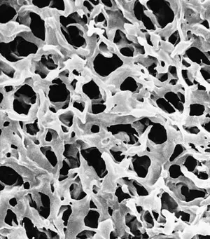 Merck Durapore Membrane Filter, 0.65 µm