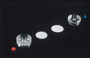 Merck MF-Millipore Membrane Filter, 0.8 µm pore size, gridded