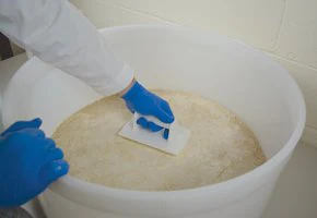 Merck Scienceware Buchner funnel trowel