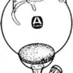 Merck Aldrich solid-phase peptide synthesis flask