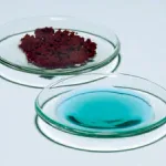 Merck Pyrex Watch glasses