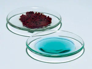 Merck Pyrex Watch glasses