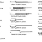 Merck Transfer pipette, polyethylene