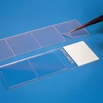 Merck Hybri-slips