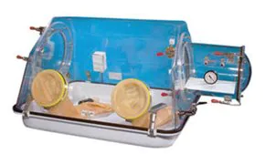 Merck Plas-Labs La Petite glove box
