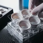 Merck Corning Netwells accessories