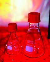 Merck Duran Erlenmeyer flasks with screw cap