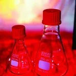 Merck Duran Erlenmeyer flasks with screw cap