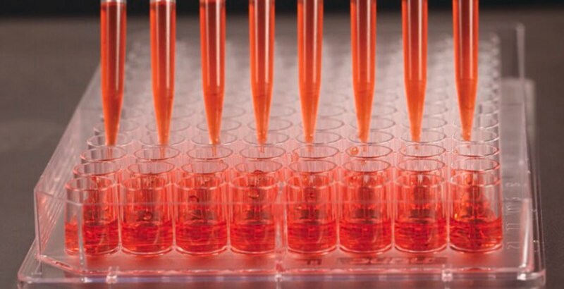 Merck Nunc Edge 2.0 96-well Plate