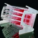Merck Slant rack for culture tubes