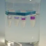 Merck Pur-A-Lyzer Floating Racks for Dialysis