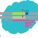 Merck eSpCas9 Protein