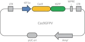 Merck Cas9 GFP Lentiviral Particles