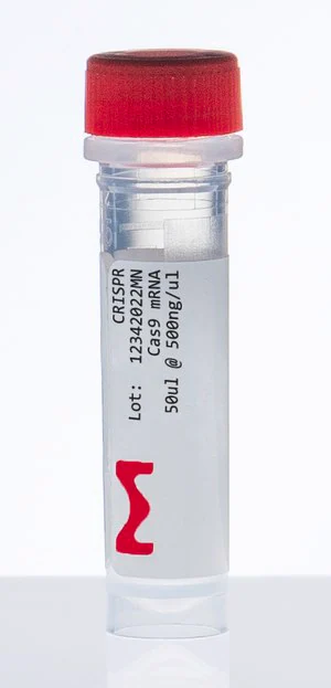 Merck Cas9 mRNA