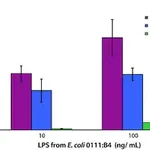 Merck Lipopolysaccharides from Escherichia coli O111:B4