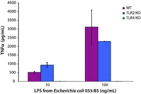 Merck Lipopolysaccharides from Escherichia coli O55:B5