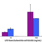 Merck Lipopolysaccharides from Escherichia coli O55:B5
