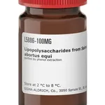 Merck Lipopolysaccharides from Salmonella enterica serotype abortus equi