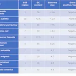 Merck Microbial community DNA mix