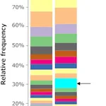 Merck Microbial DNA standard from Deinococcus radiodurans