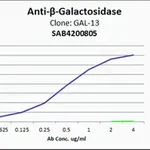 Merck Anti-β-Galactosidase antibody, Mouse monoclonal