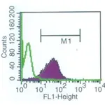 Merck Anti-Shiga Toxin 1, B Subunit-FITC antibody, Mouse monoclonal