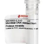 Merck Microbial DNA standard from Proteus mirabilis