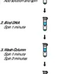 Merck GenElute PCR Clean-Up Kit