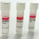 Merck DNase I