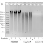 Merck GenElute Microbiome DNA Purification Kit