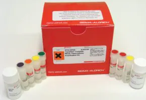 Merck Complete Whole Transcriptome Amplification Kit