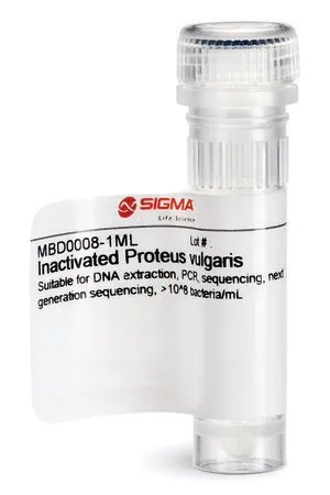 Merck Inactivated Proteus vulgaris