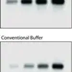 Merck PerfectHyb Plus Hybridization Buffer