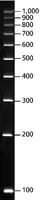 Merck DirectLoad PCR 100 bp Low Ladder
