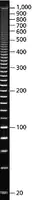 Merck PCR 20 bp Low Ladder