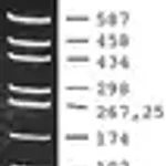 Merck pUC18 DNA Hae III Digest