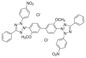 Merck NBT