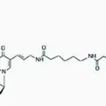 Merck DIG-High Prime
