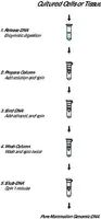 Merck GenElute Mammalian Genomic DNA Miniprep Kits