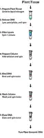 Merck GenElute Plant Genomic DNA Miniprep Kit