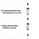 Merck PhasePrep BAC DNA Kit