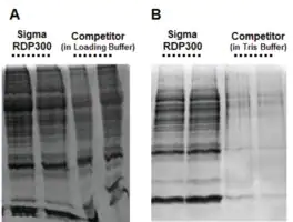 Merck GenElute RNA/DNA/Protein Purification Plus Kit