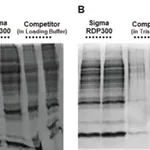 Merck GenElute RNA/DNA/Protein Purification Plus Kit