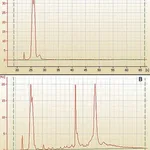 Merck mirPremier microRNA Isolation Kit