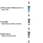 Merck GenElute Mammalian Total RNA Miniprep Kit