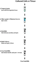 Merck GenElute Mammalian Total RNA Miniprep Kit