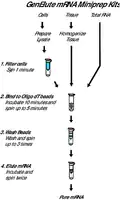 Merck GenElute Direct mRNA Miniprep Kits