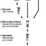 Merck GenElute Direct mRNA Miniprep Kits